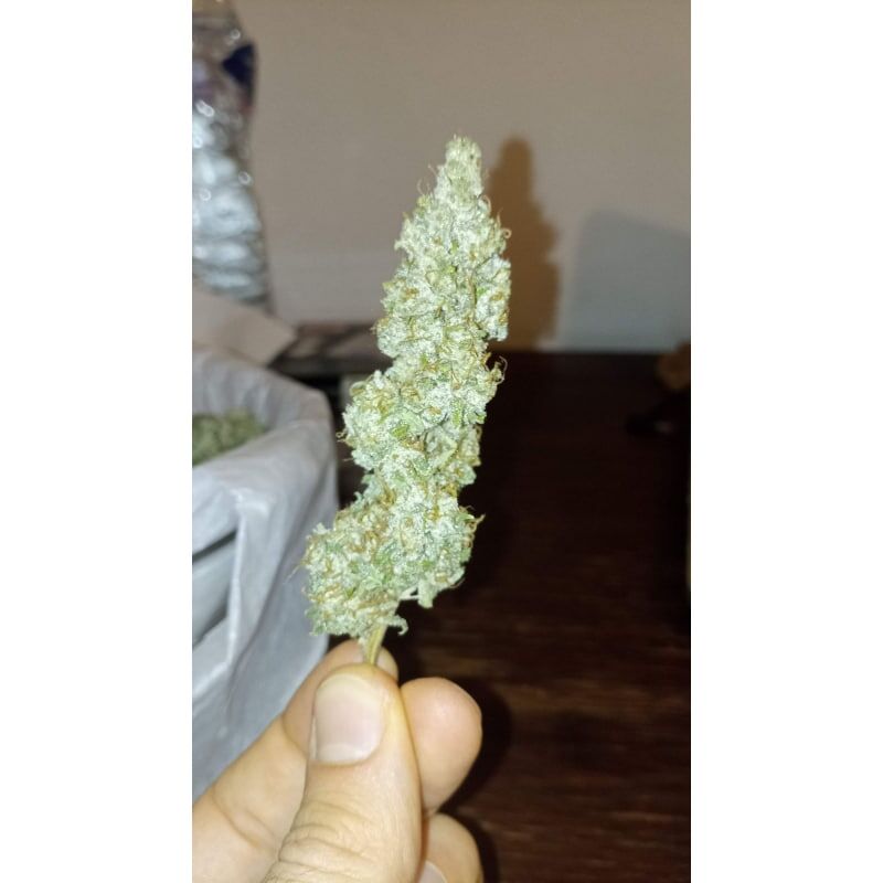 Crystal White Kush, Фасовка: 3, изображение 8